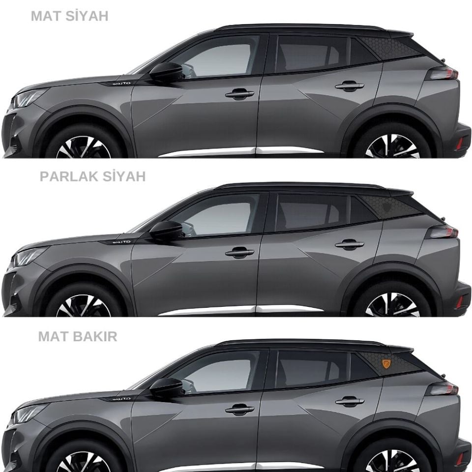Peugeot 2008 Uyumlu Kelebek Cam Sticker